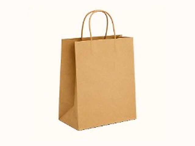 Paper Bag